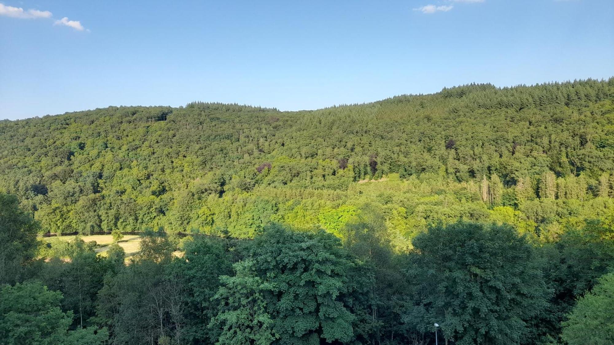 Le Sentier Des Lavandes Vresse-sur-Semois Bagian luar foto
