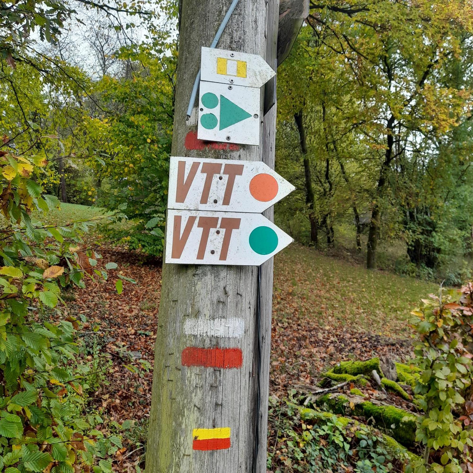 Le Sentier Des Lavandes Vresse-sur-Semois Bagian luar foto